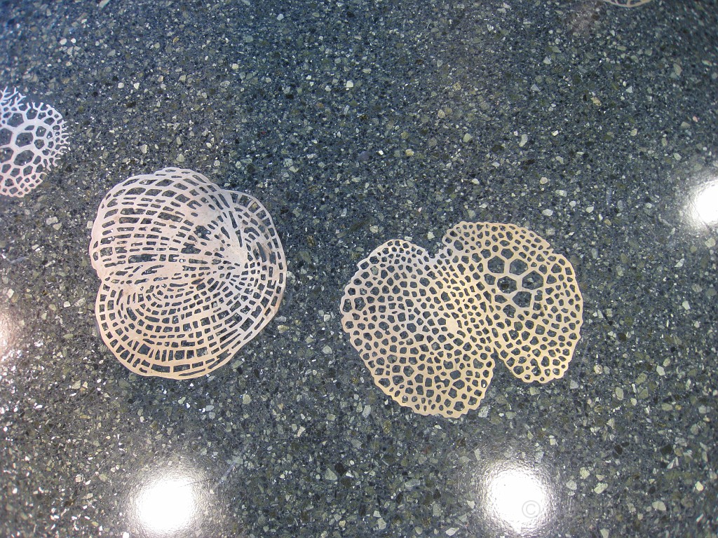 Michigans West Coast 2009 0435.jpg - Labor Day 2009. A trip along Michigans west coast to see beachs, art and buffets.